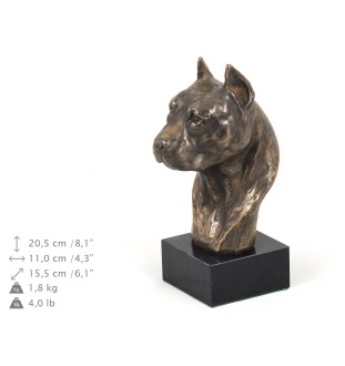 Amerykański Staffordshire terrier głowa na kamieniu Art-Dog